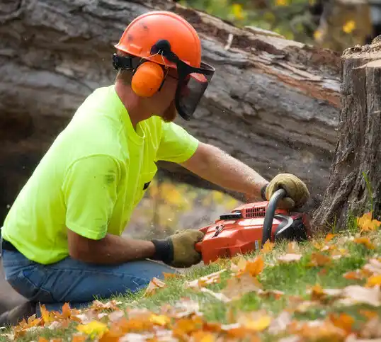 tree services Elm Creek